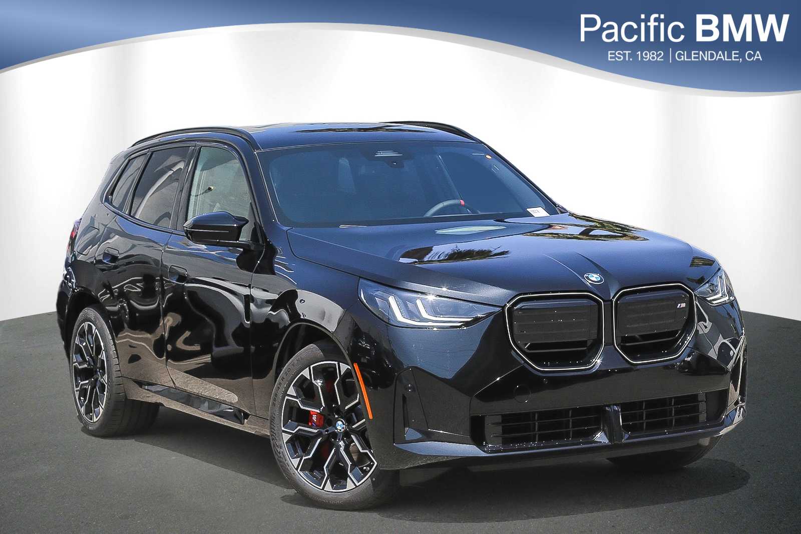 2025 BMW X3 M50's photo