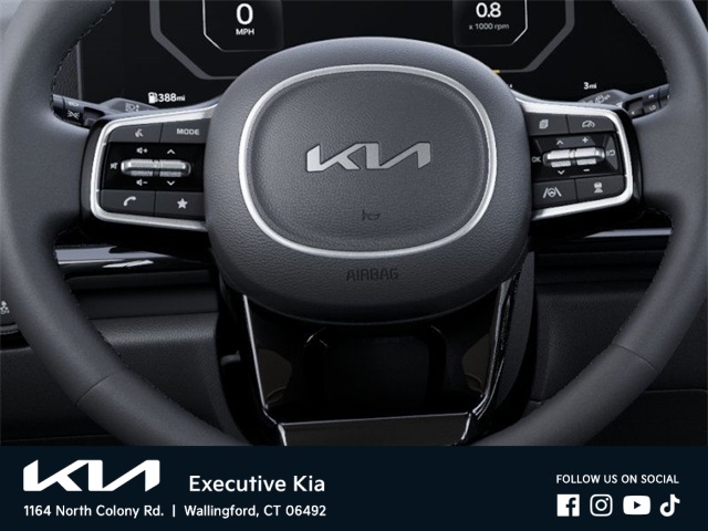 2025 Kia Carnival SX Prestige photo 20