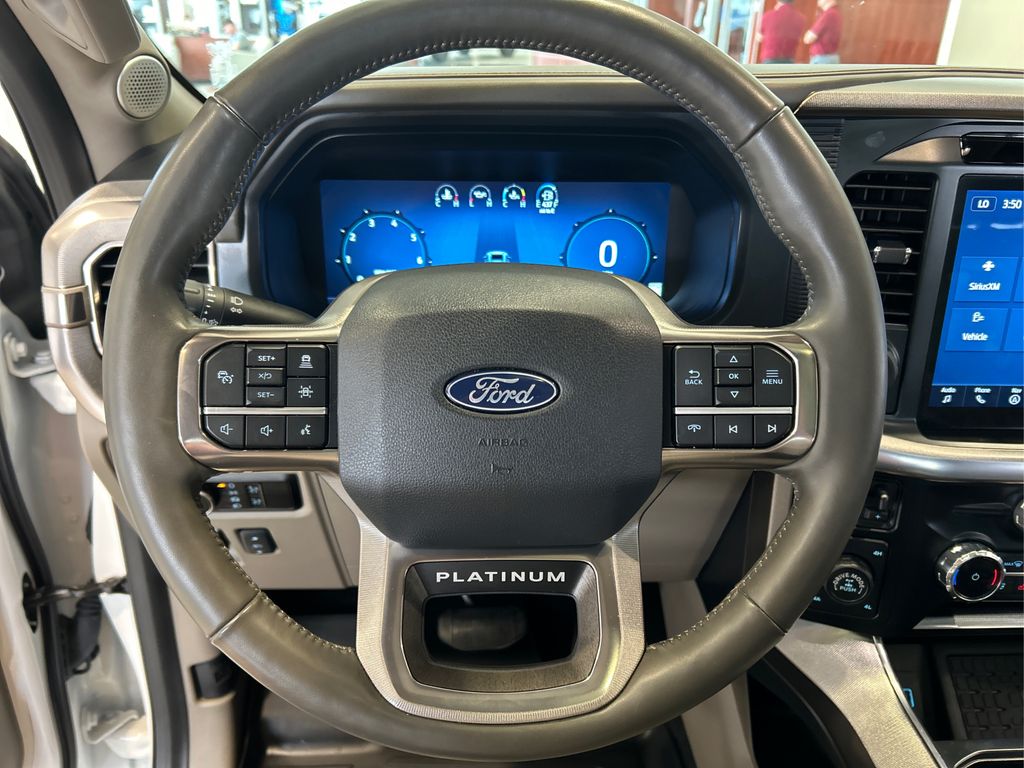 2024 Ford F-150 Platinum photo 19