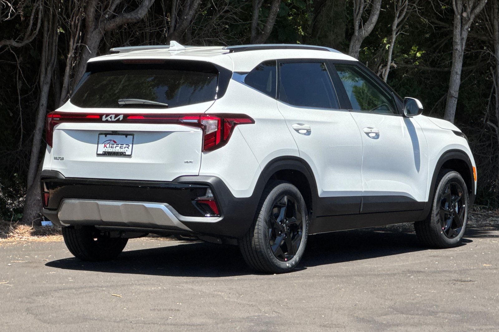 2026 Kia Seltos EX photo 3