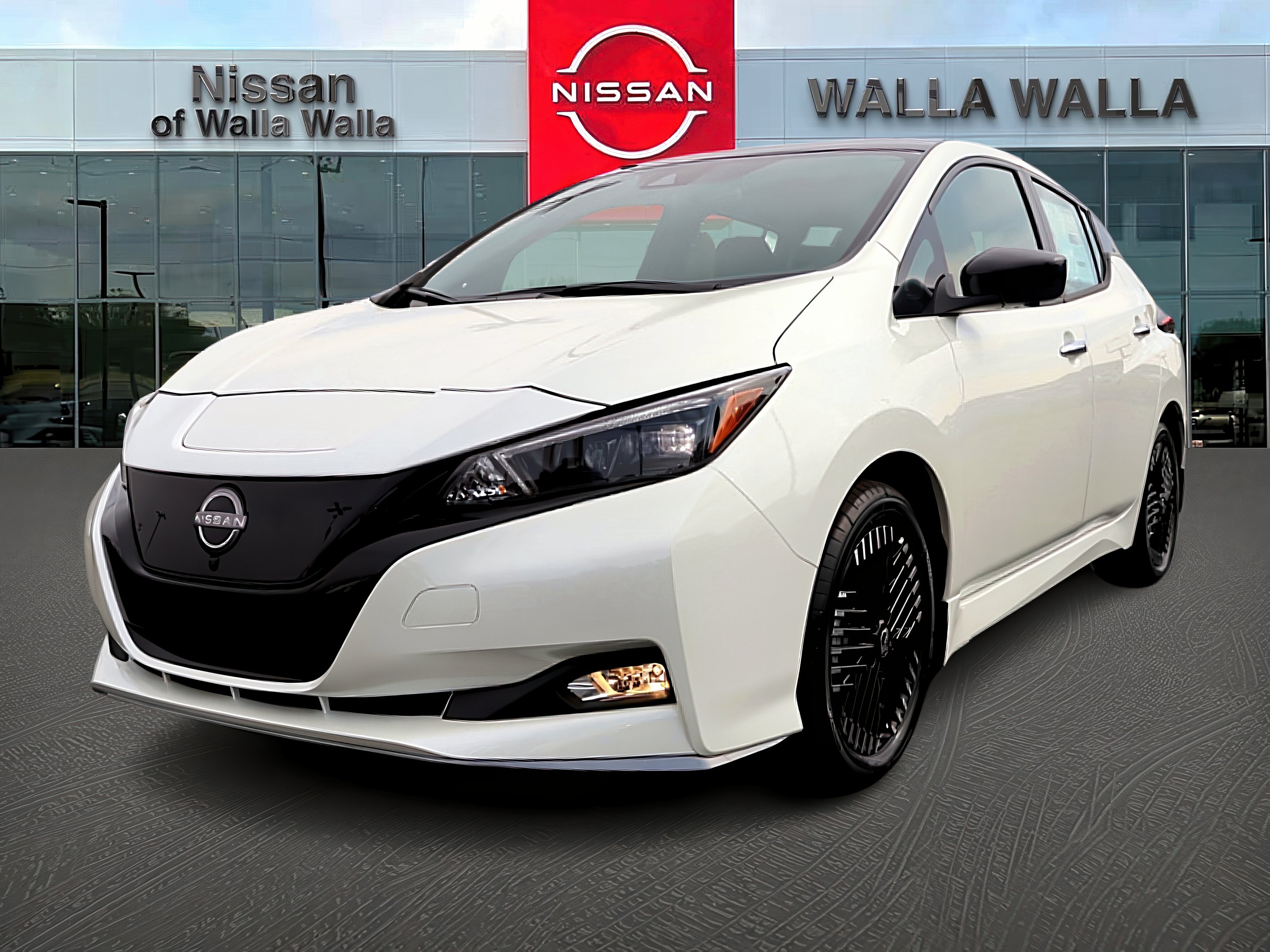 2025 Nissan Leaf SV Plus photo 3