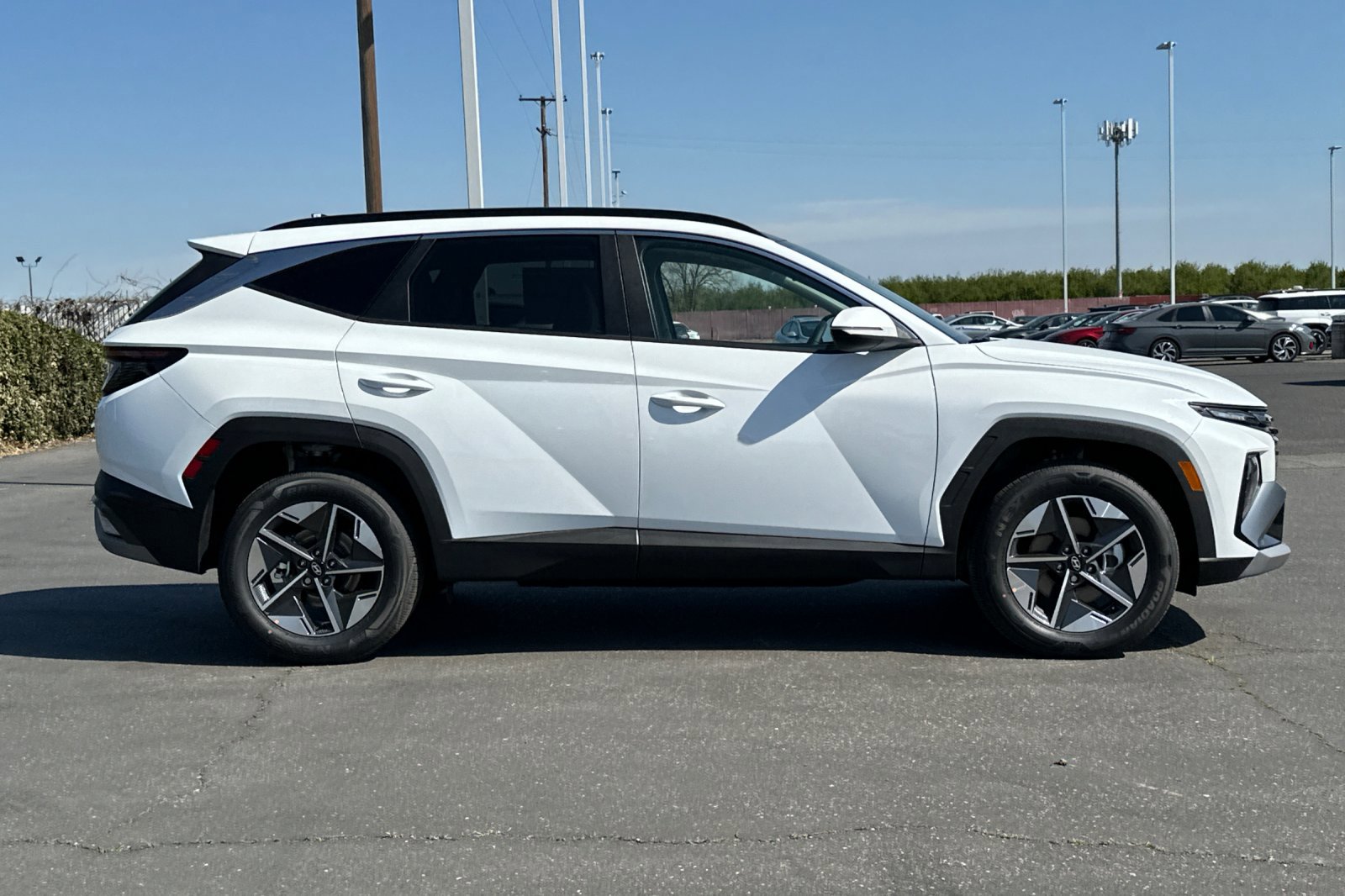 2025 Hyundai Tucson Hybrid SEL Convenience Sport photo 3