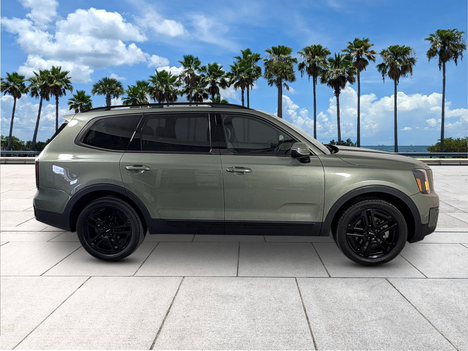2024 Kia Telluride EX X-Line photo 9
