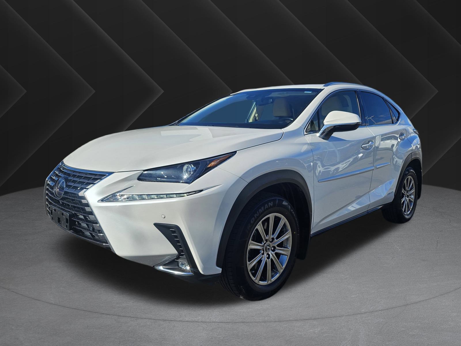 2019 Lexus NX Hybrid 300h's photo