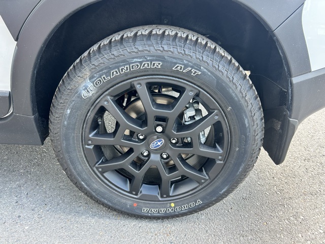2025 Subaru Crosstrek Wilderness photo 8