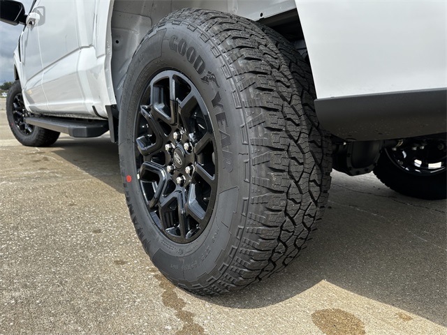 2025 Ford F-150 XLT photo 6