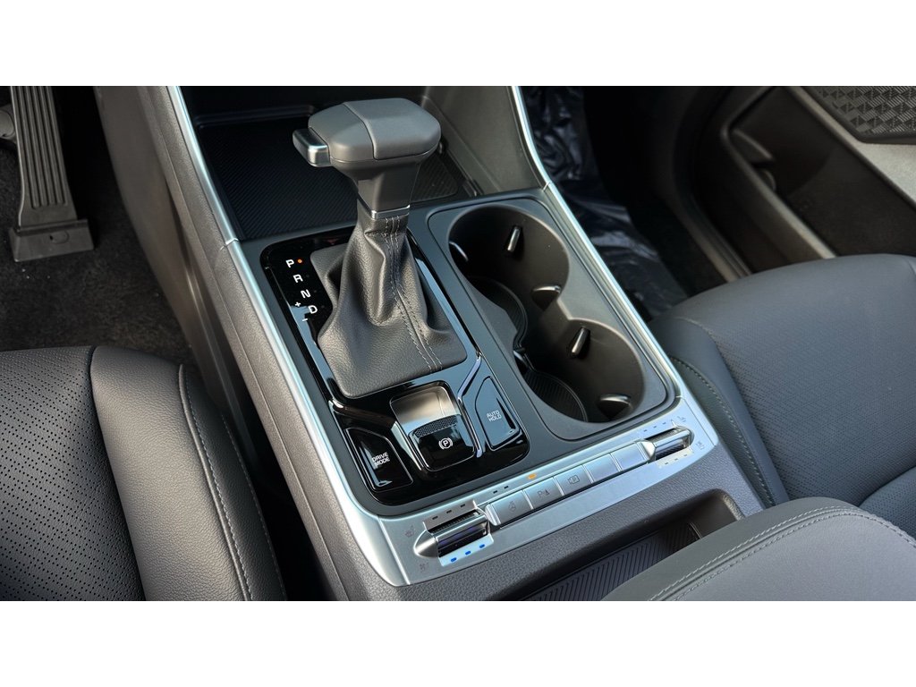 2026 Kia Carnival SX Prestige photo 17