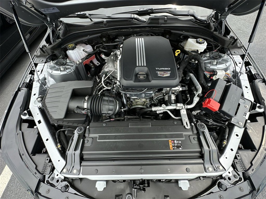 View 25
