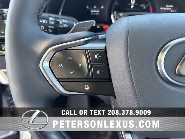 2025 Lexus RX 350 Premium photo 24