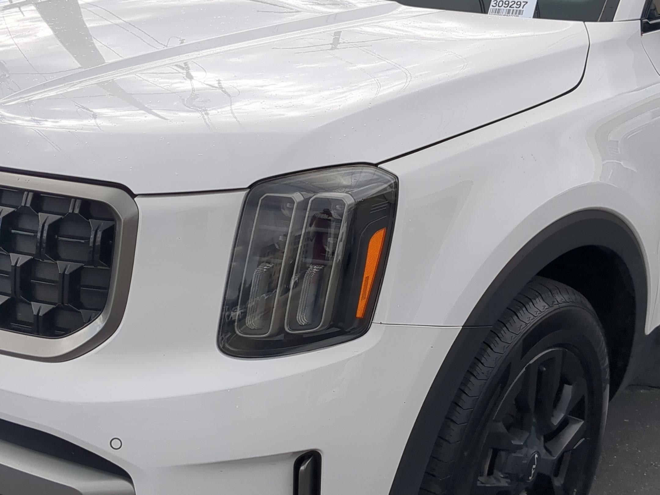 2023 Kia Telluride SX X-Pro photo 10