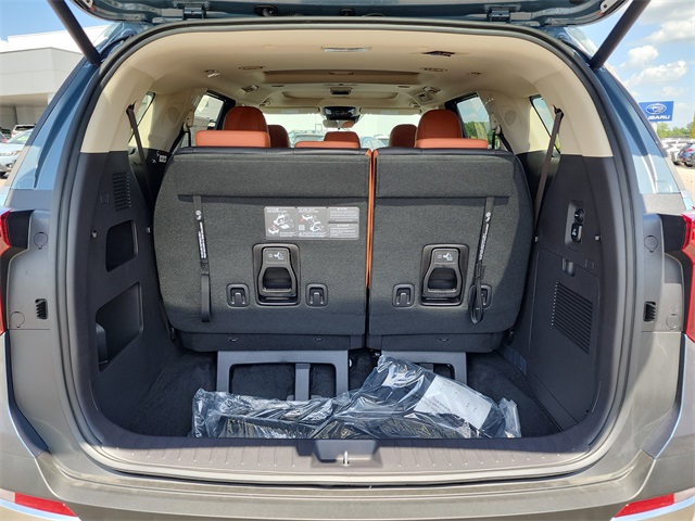 2026 Kia Carnival SX photo 6