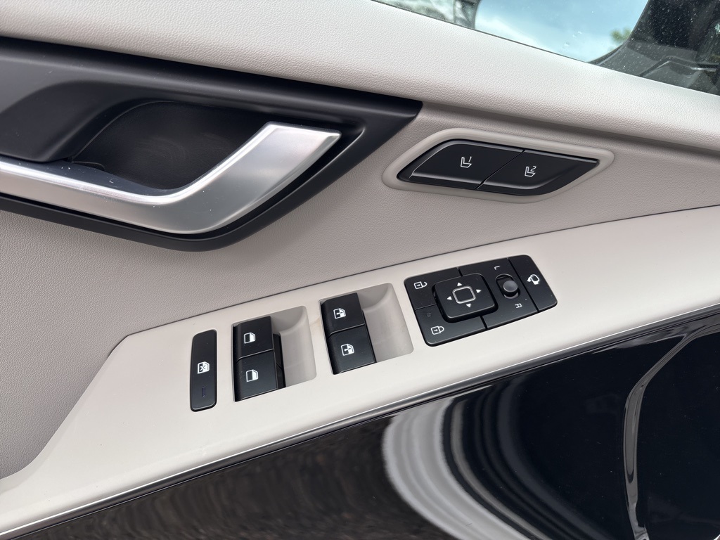 2025 Kia Niro EV Wave photo 12