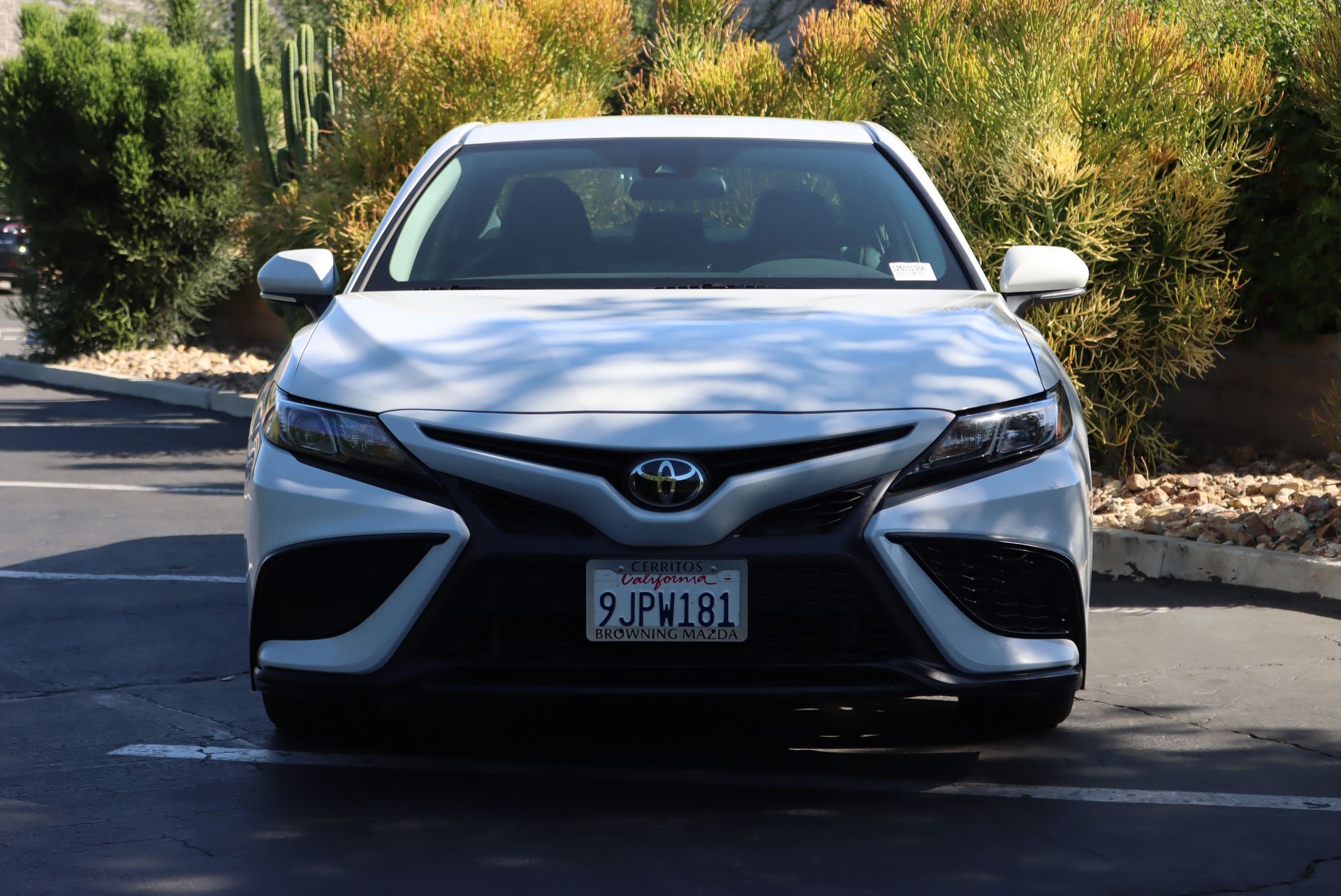2024 Toyota Camry SE photo 3