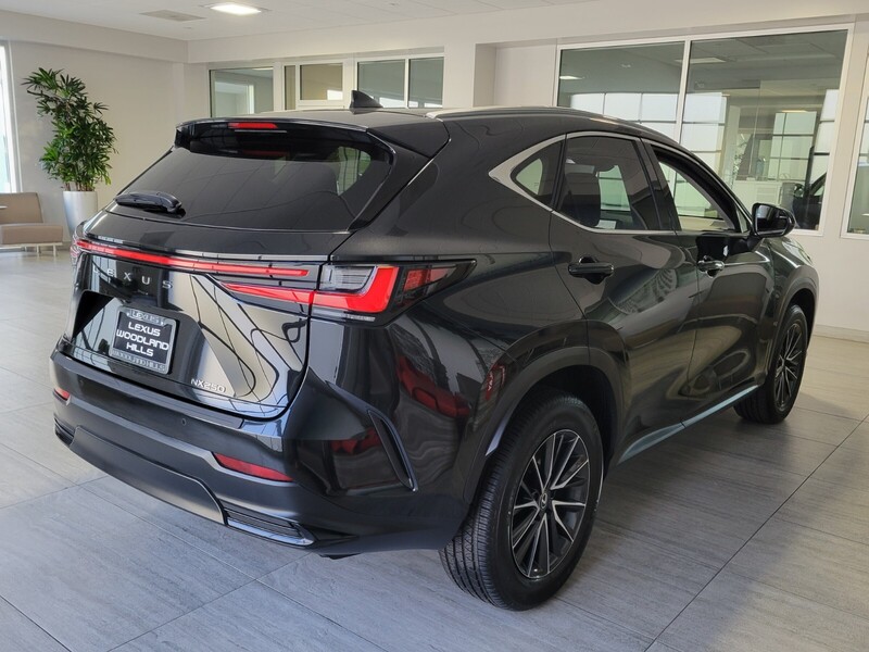 2024 Lexus NX 250 Premium photo 4