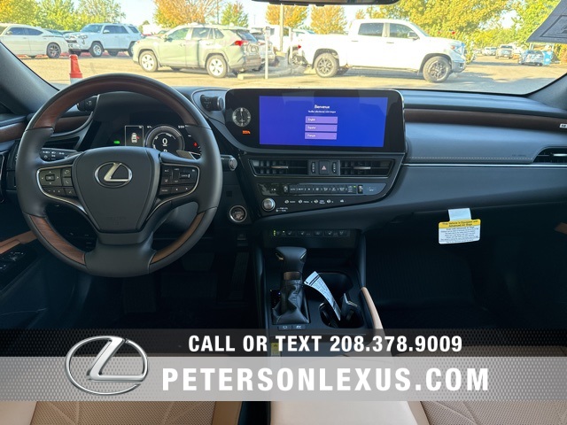 2025 Lexus ES 300h Luxury photo 14