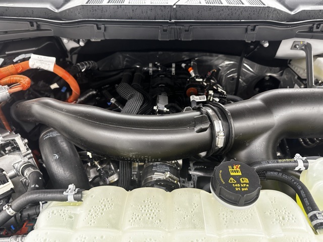 2025 Ford F-150 XLT photo 40