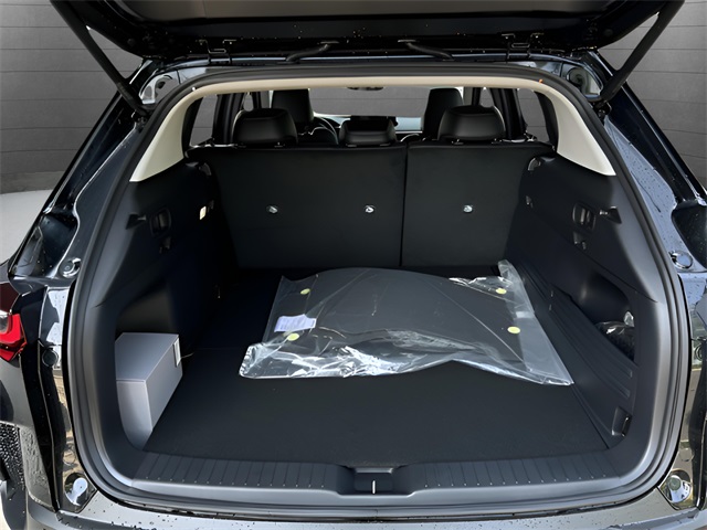 2025 Mazda CX-50 Premium photo 32