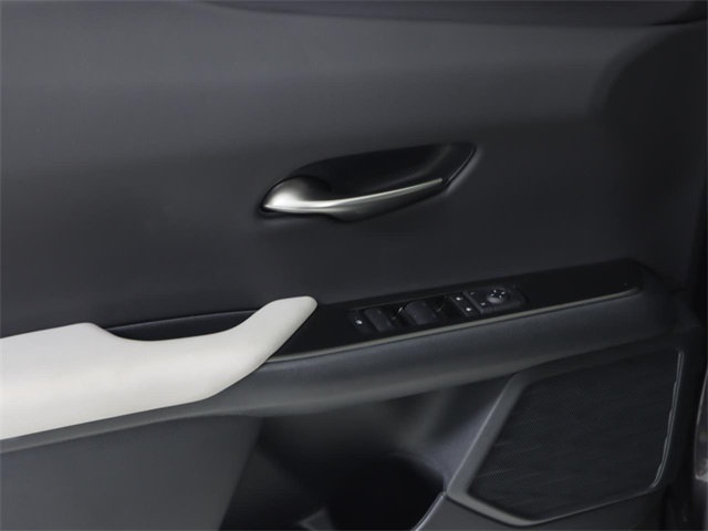 2025 Lexus UX photo 10