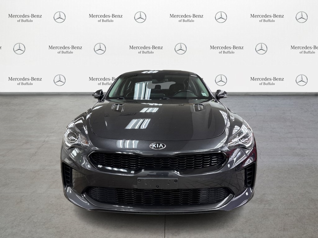 2019 Kia Stinger photo 2