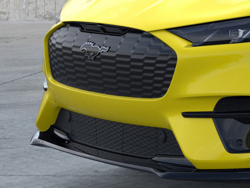 2025 Ford Mustang Mach-E Premium photo 10