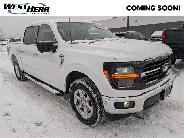 2024 Ford F-150 XLT's photo