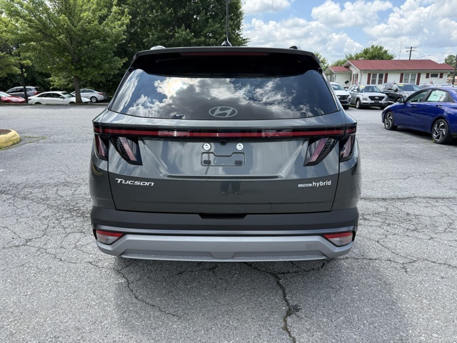 2025 Hyundai Tucson Hybrid Limited photo 4