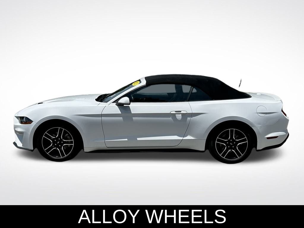 2023 Ford Mustang EcoBoost Premium photo 3