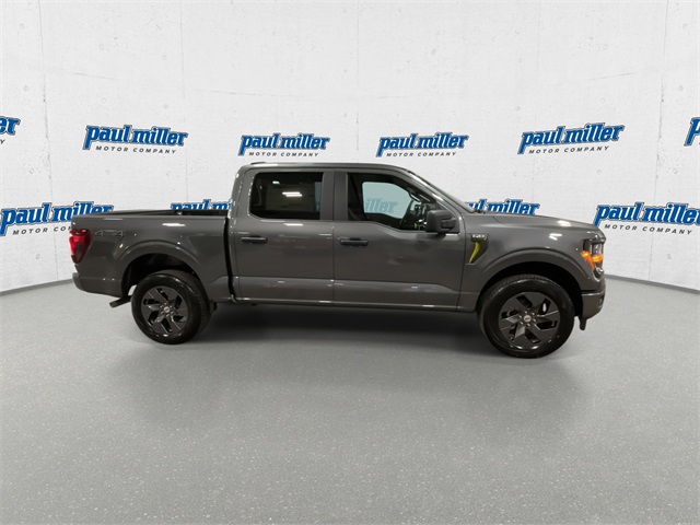 2025 Ford F-150 STX photo 8