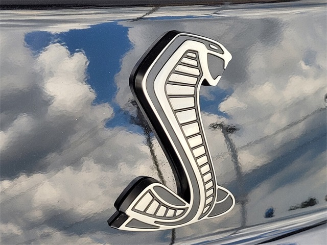 2021 Ford Mustang Shelby GT500 photo 11
