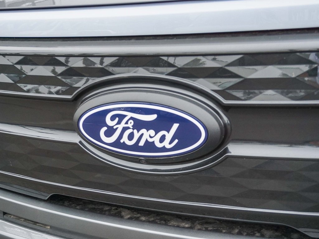 2025 Ford F-150 Lightning Platinum photo 4