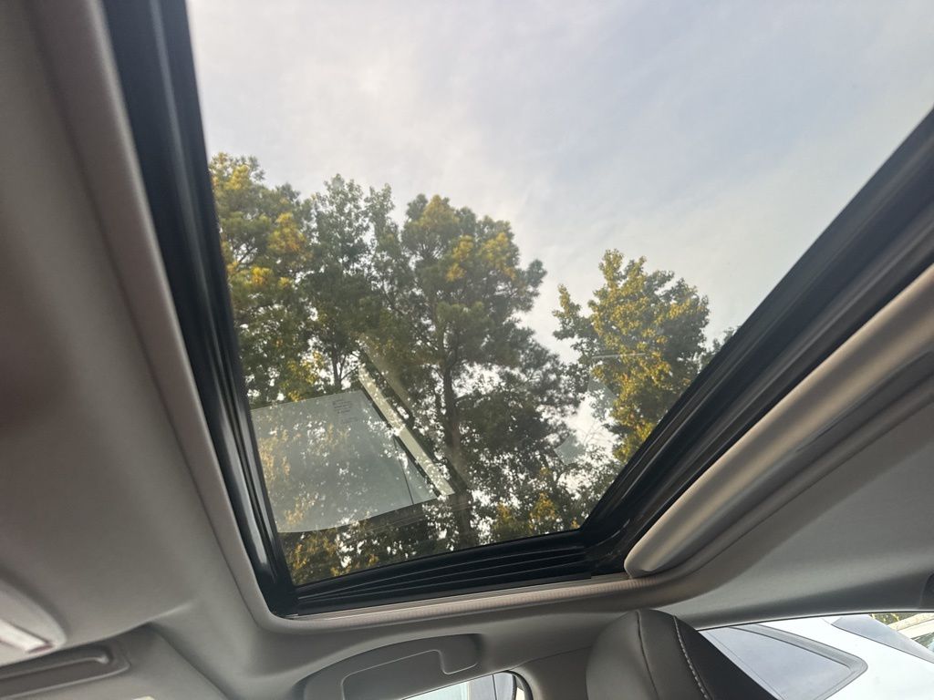 2019 Toyota Camry SE photo 15