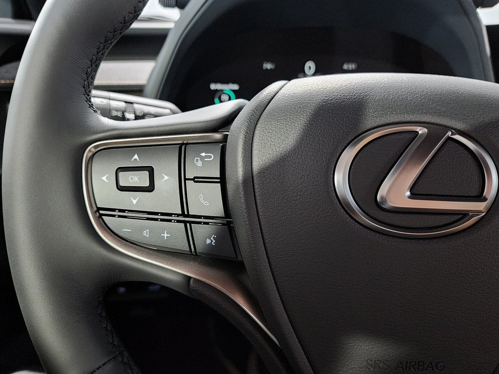 2025 Lexus UX photo 13