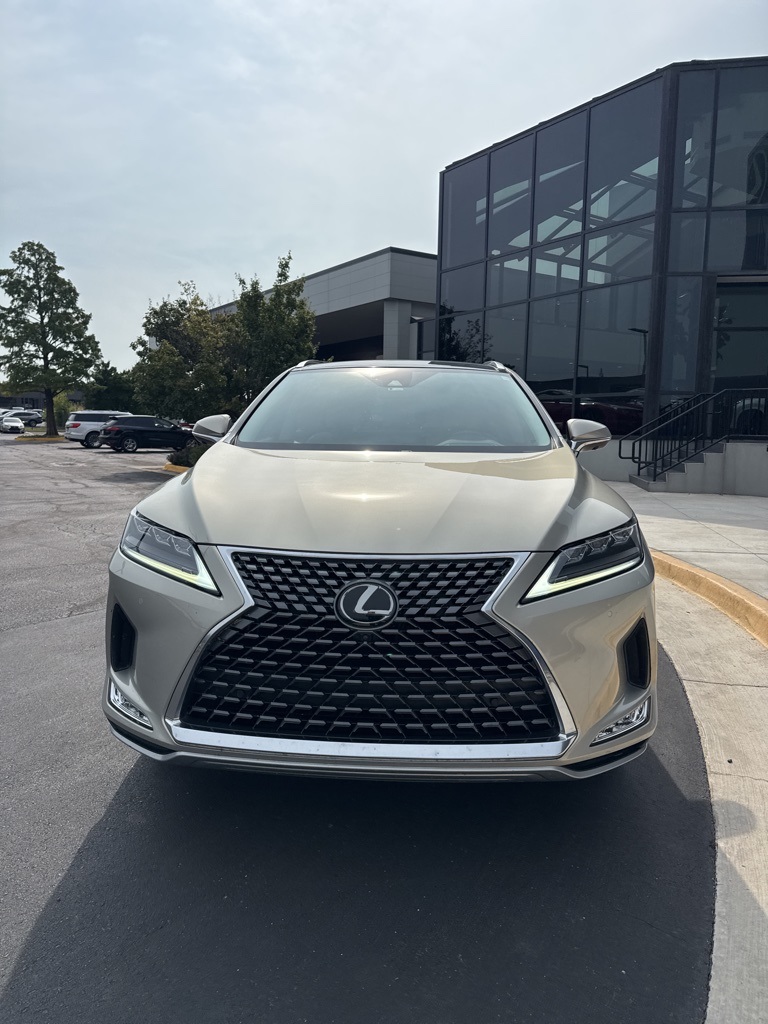 2021 Lexus RX Luxury photo 3