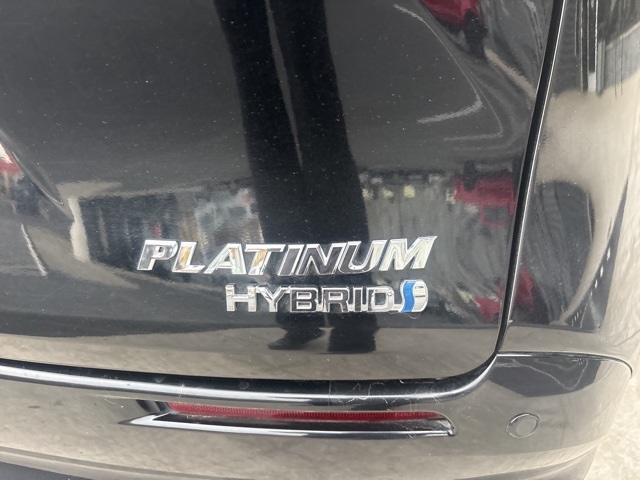 2021 Toyota Sienna Platinum photo 3