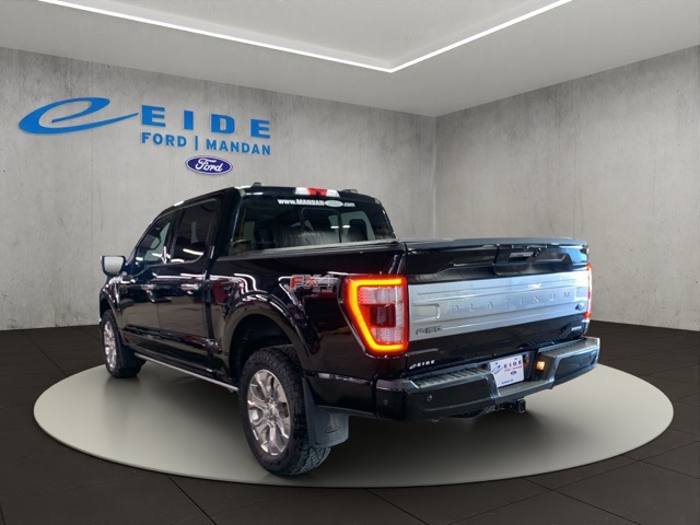 2022 Ford F-150 Platinum photo 2