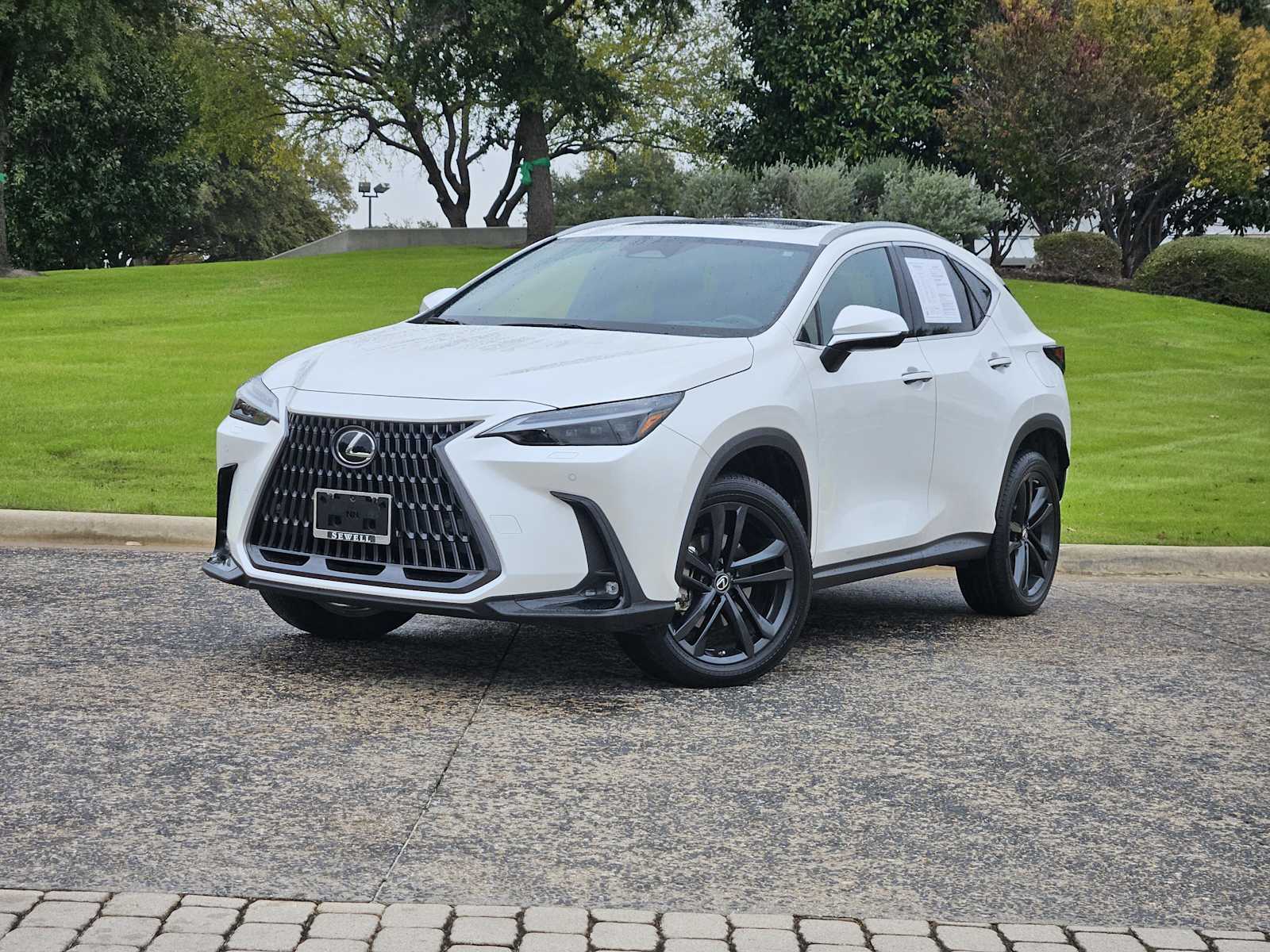 2023 Lexus NX PHEV 450h+'s photo