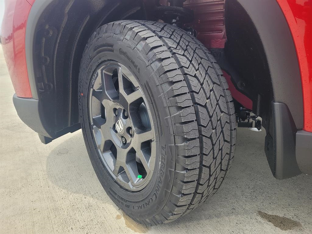 2025 Honda Pilot TrailSport photo 8
