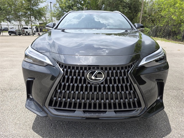 2025 Lexus NX 350h Luxury AWD photo 10