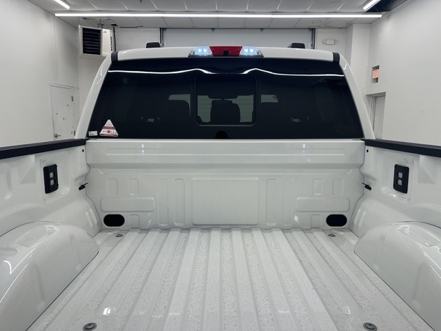 2025 Ford F-150 Platinum photo 19