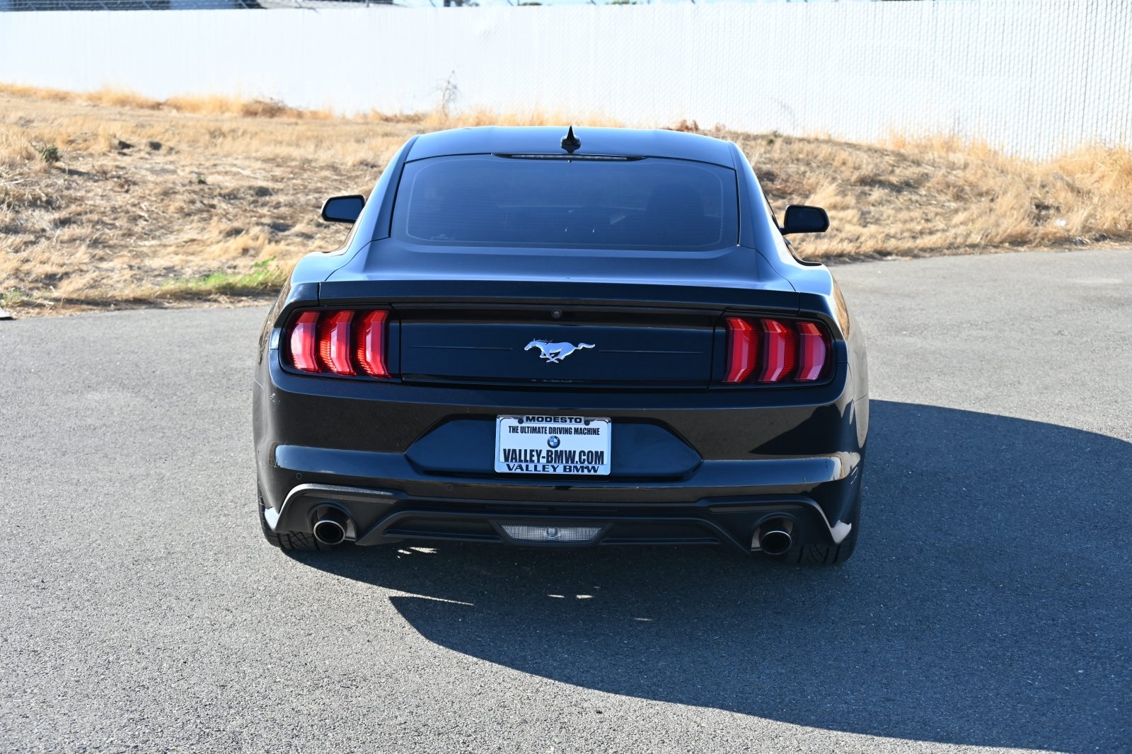 2021 Ford Mustang EcoBoost photo 6