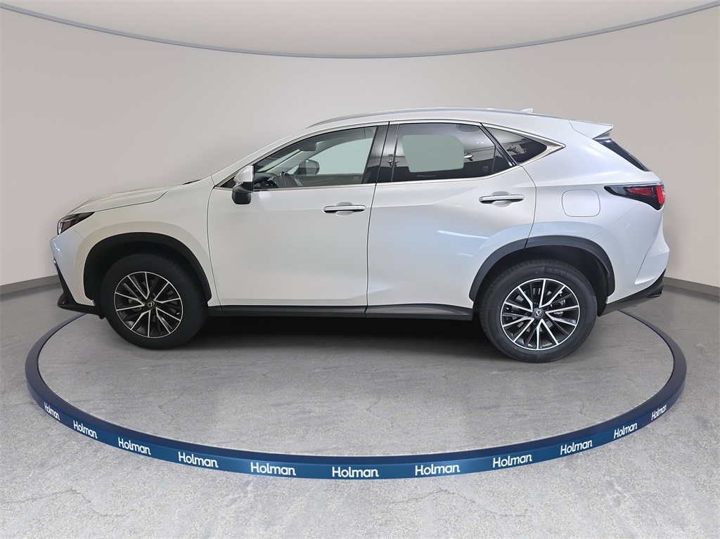 2022 Lexus NX 350h Premium photo 8