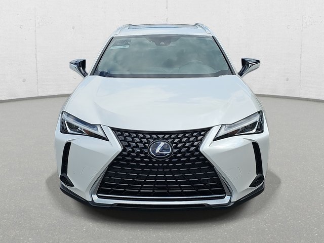 2019 Lexus UX 250h photo 2