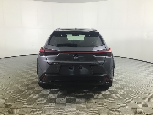 2021 Lexus UX 250h F SPORT photo 5