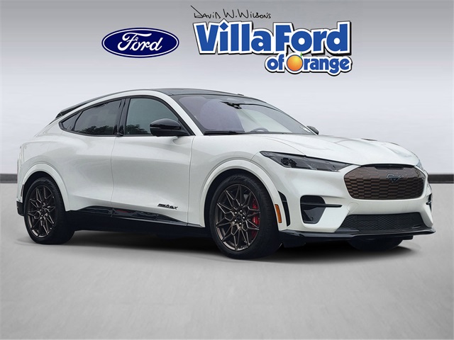 2025 Ford Mustang Mach-E GT AWD's photo