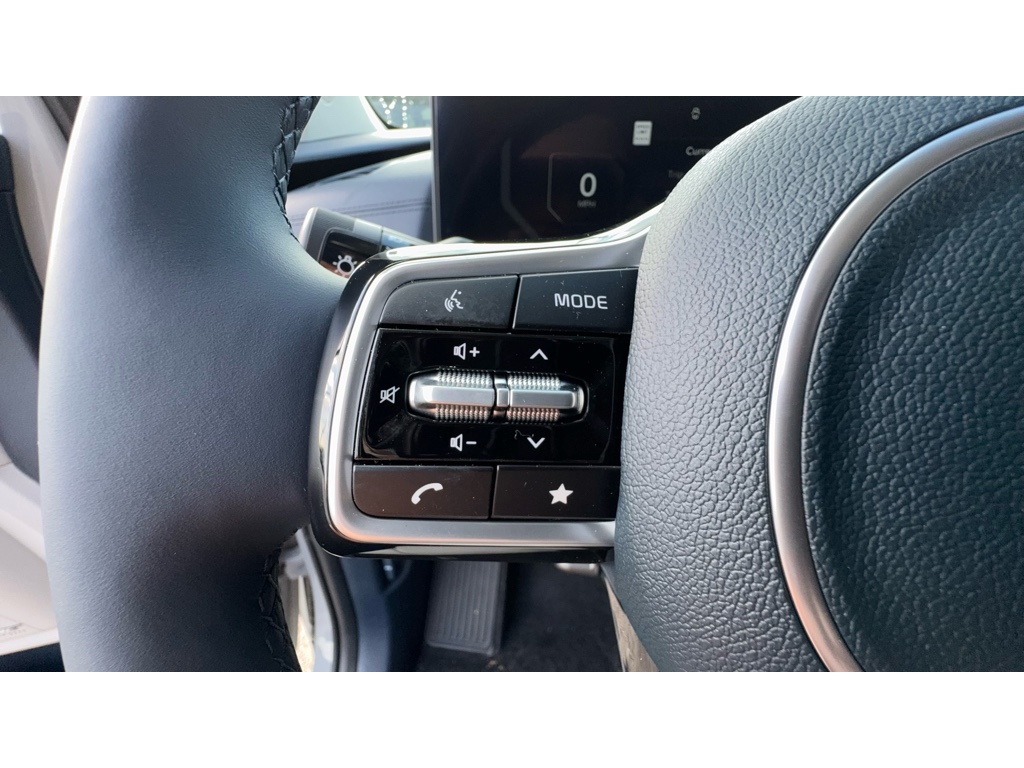 2026 Kia Carnival SX Prestige photo 8