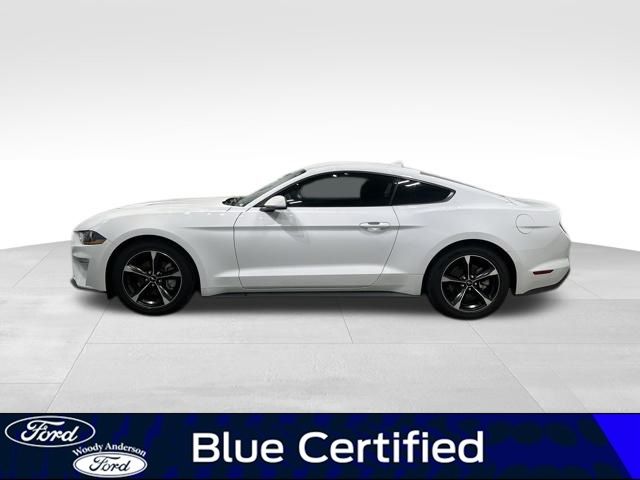 2023 Ford Mustang EcoBoost photo 2