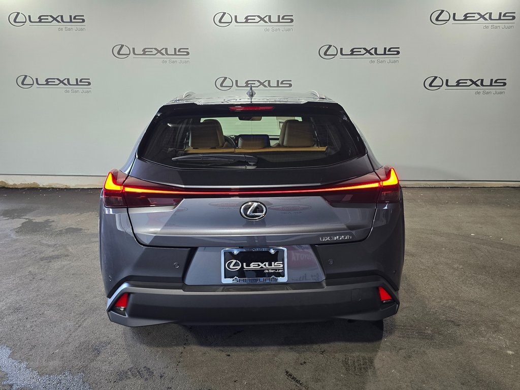 2025 Lexus UX photo 9