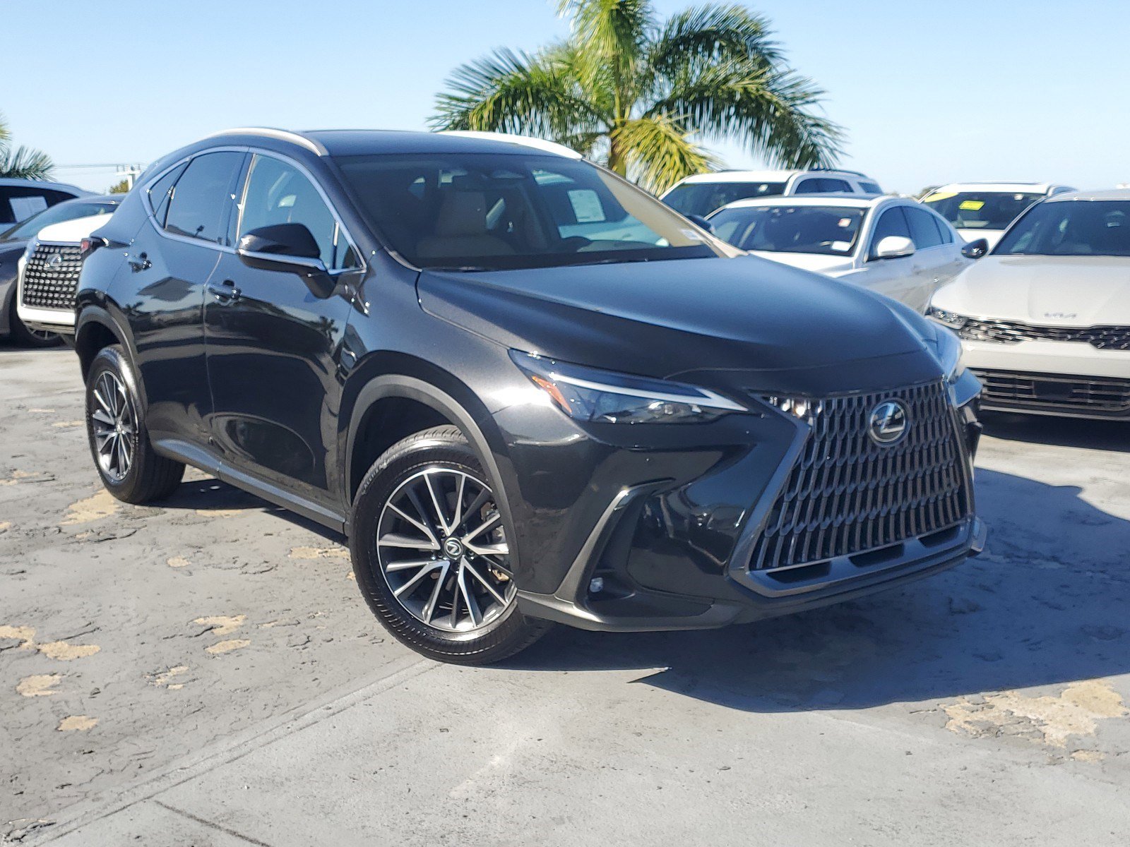 2024 Lexus NX 250's photo