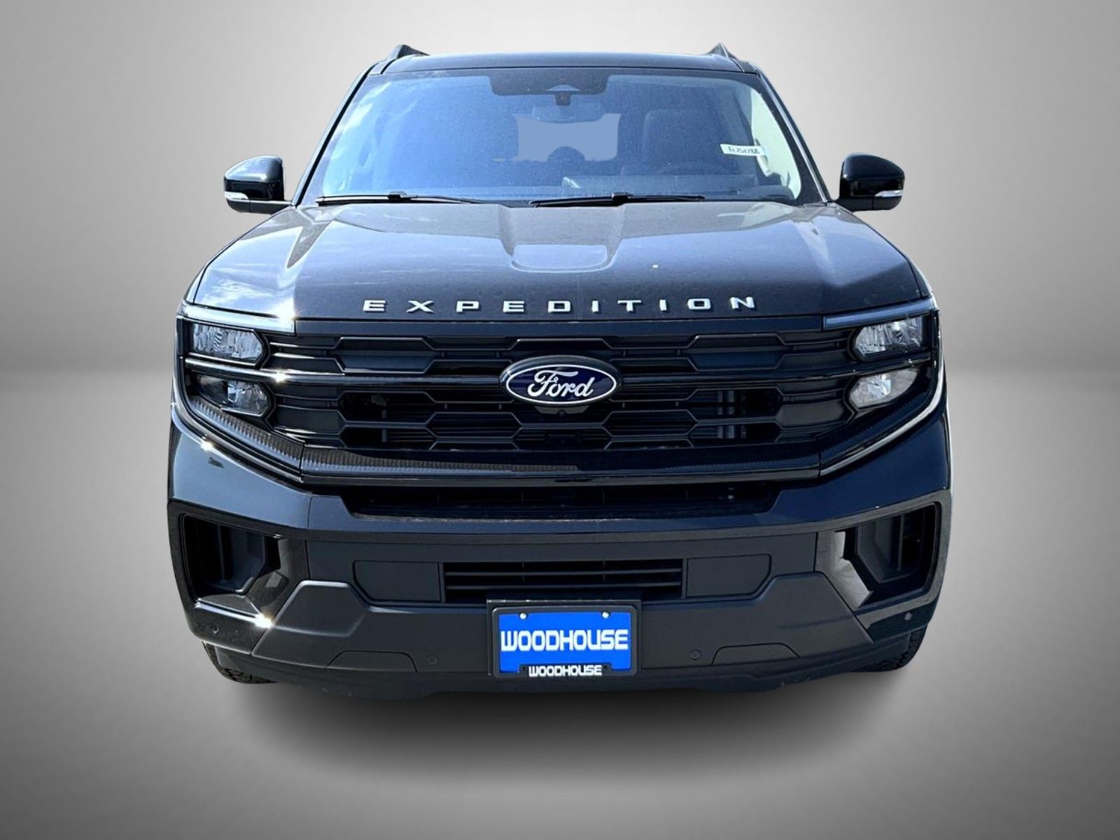 2025 Ford Expedition MAX photo 2