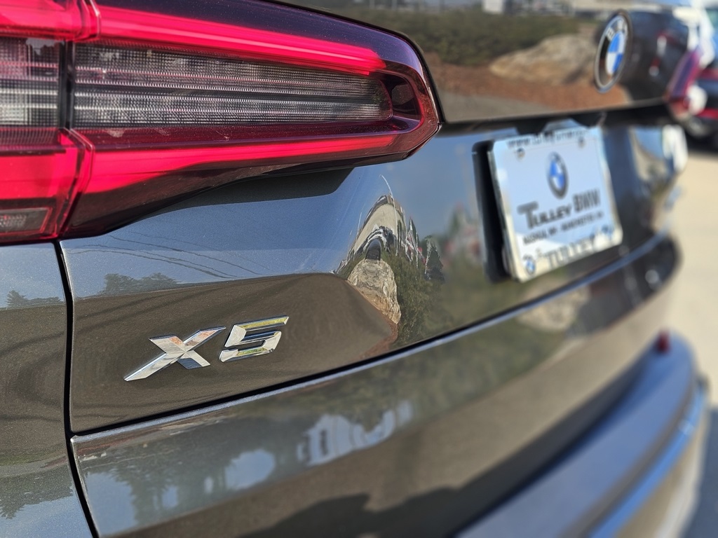 2021 Bmw X5 xDrive45e photo 10